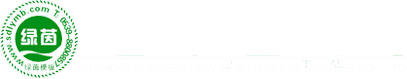 绵阳市电子教育学校