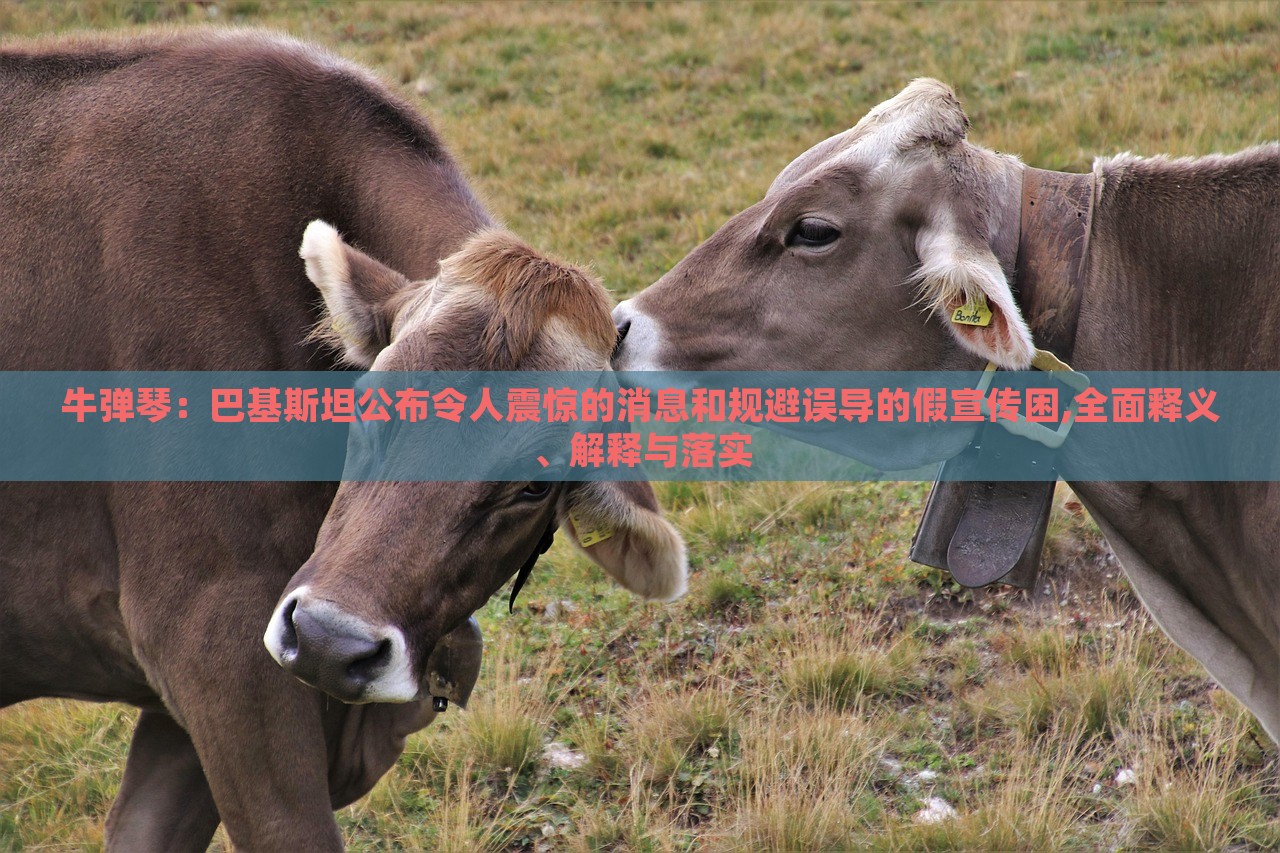 牛彈琴:巴基斯坦公布令人震驚的消息和規(guī)避誤導(dǎo)的假宣傳困,全面釋義、解釋與落實(shí) 牛彈琴:巴基斯坦公布令人震驚的消息和規(guī)避誤導(dǎo)的假宣傳困,全面釋義、解釋與落實(shí)