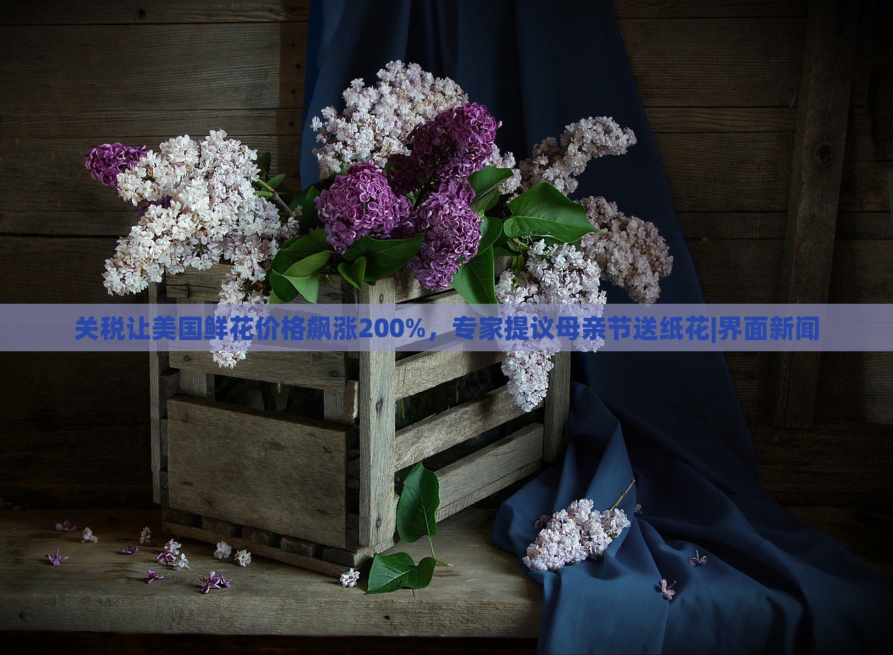 關稅讓美國鮮花價格飆漲200%，專家提議母親節(jié)送紙花|界面新聞