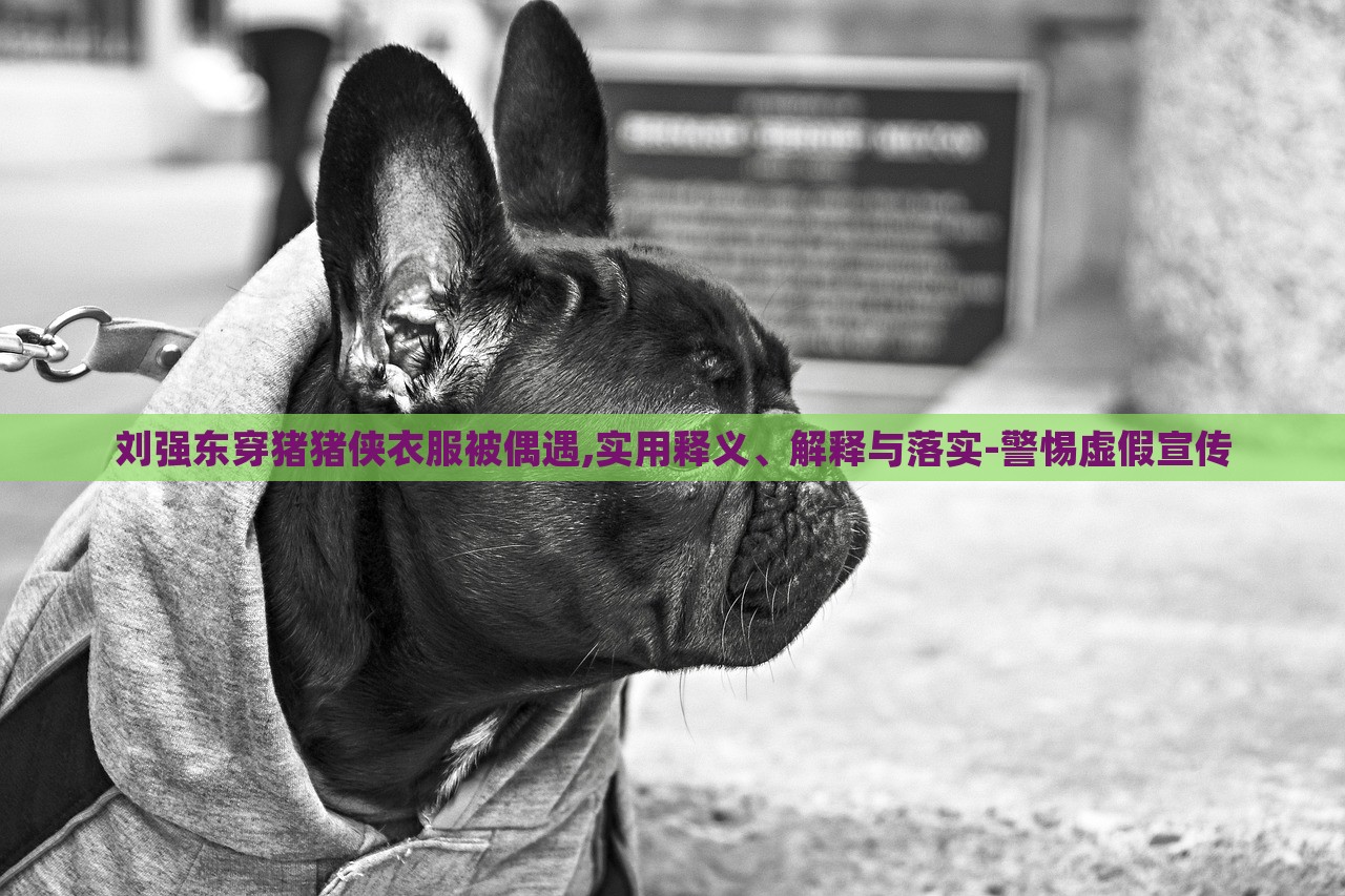 劉強東穿豬豬俠衣服被偶遇,實用釋義、解釋與落實-警惕虛假宣傳
