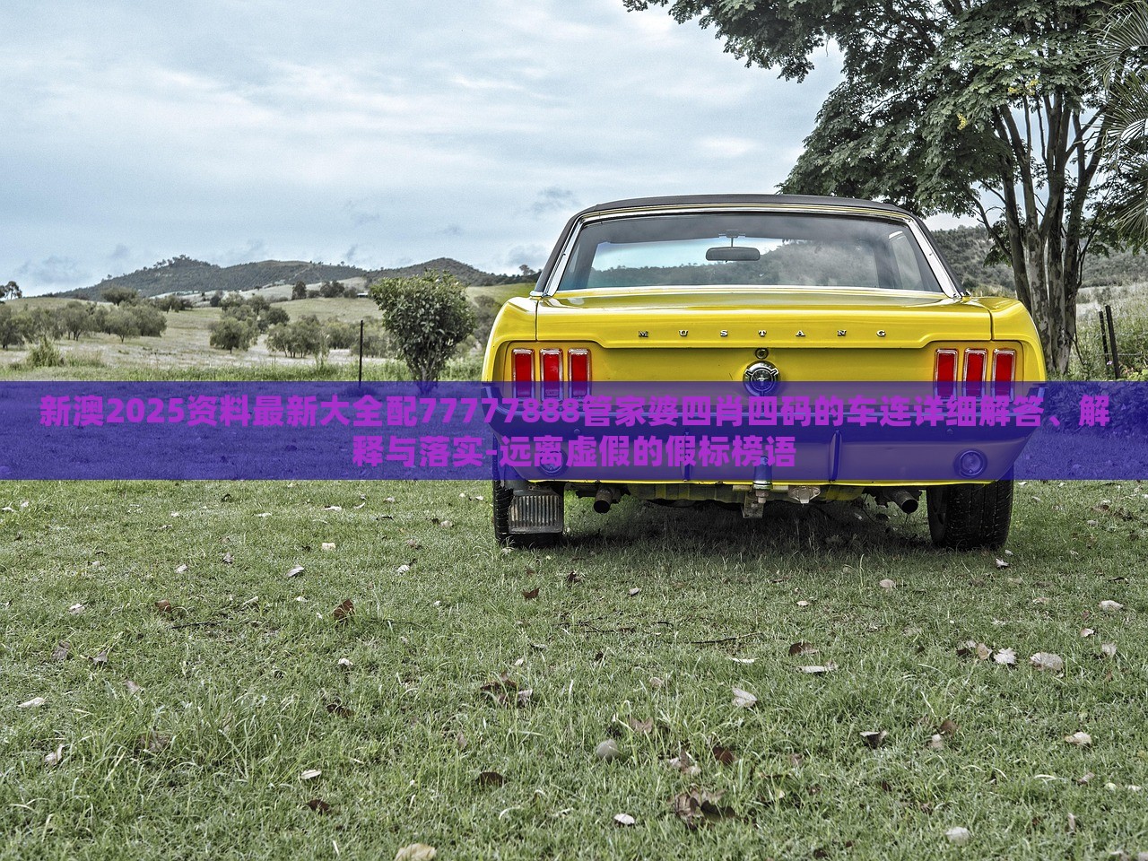 新澳2025資料最新大全配77777888管家婆四肖四碼的車連詳細(xì)解答、解釋與落實(shí)-遠(yuǎn)離虛假的假標(biāo)榜語