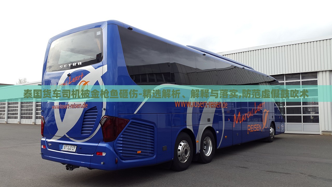 泰國貨車司機(jī)被金槍魚砸傷-精選解析、解釋與落實(shí),防范虛假鼓吹術(shù)
