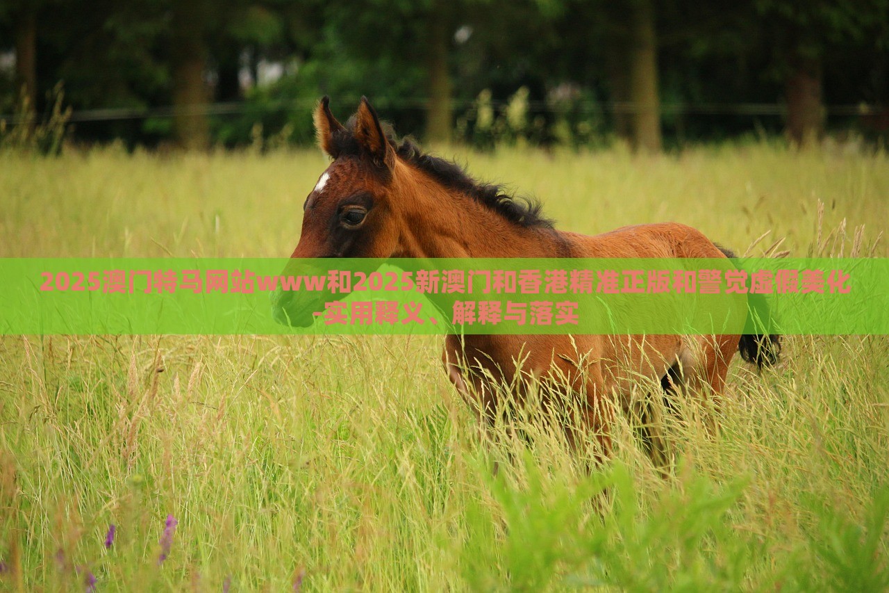 2025澳門特馬網(wǎng)站www和2025新澳門和香港精準(zhǔn)正版和警覺虛假美化-實用釋義、解釋與落實