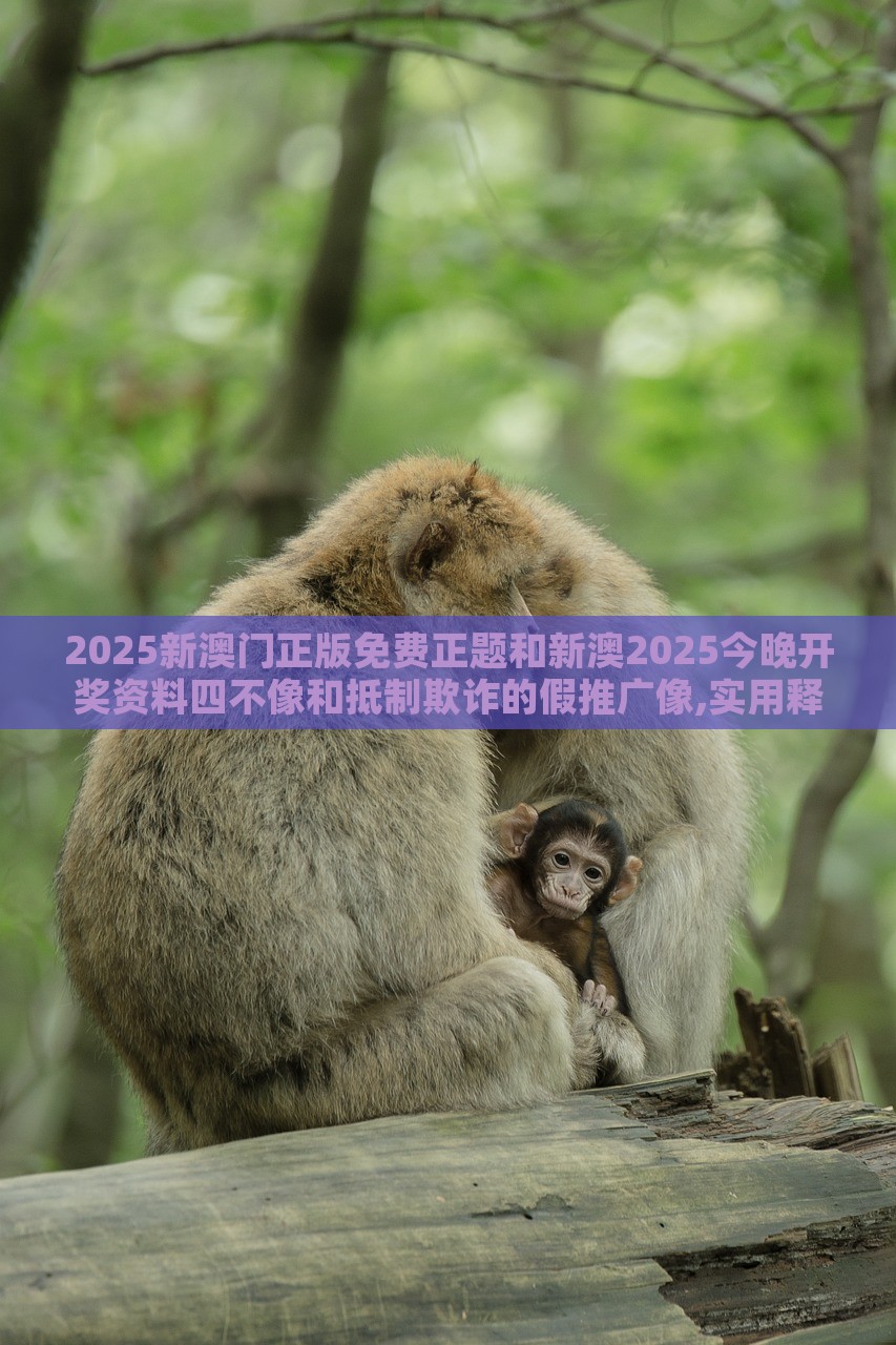 2025新澳門(mén)正版免費(fèi)正題和新澳2025今晚開(kāi)獎(jiǎng)資料四不像和抵制欺詐的假推廣像,實(shí)用釋義、解釋與落實(shí)