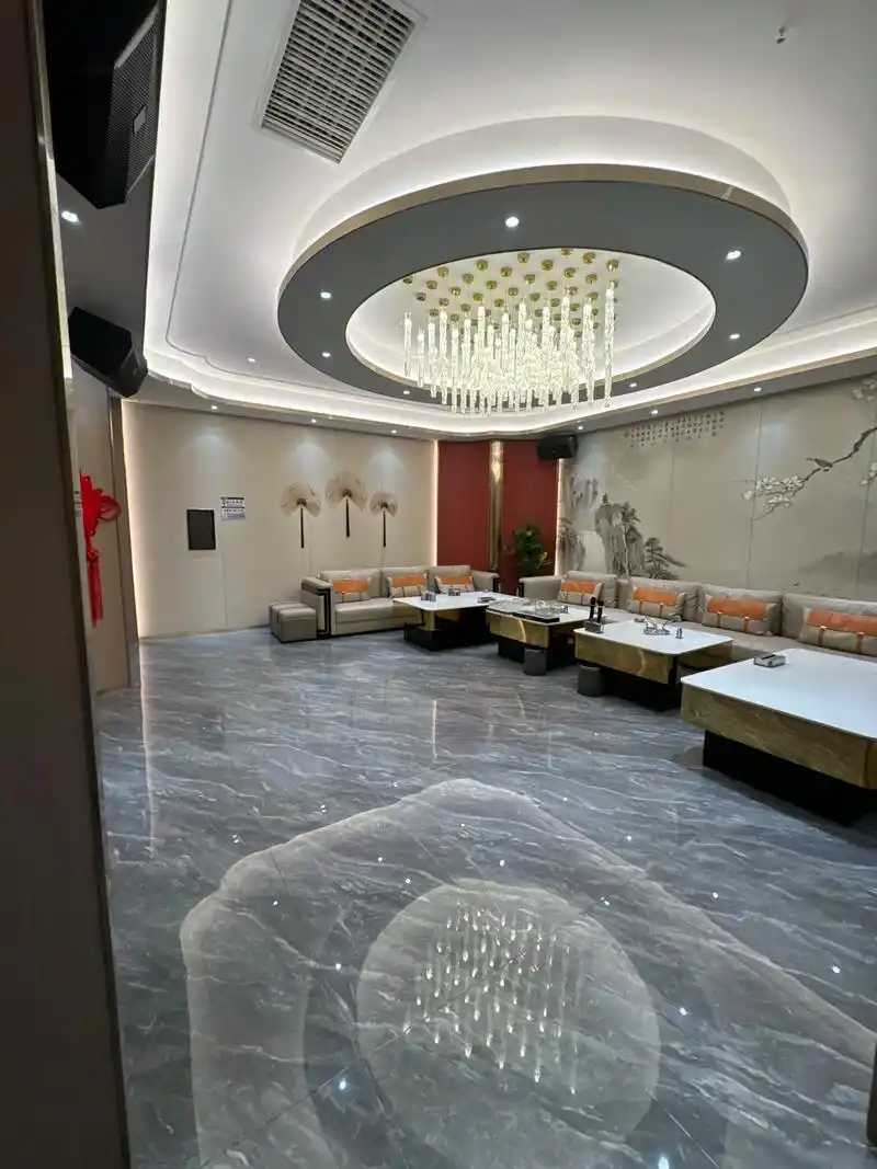 上海品茶工作室茶艺师在茶室中展示绿茶冲泡的凤凰三点头手法，茶汤清新透亮